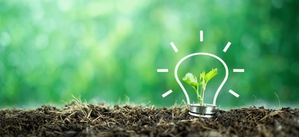 Efficienza energetica