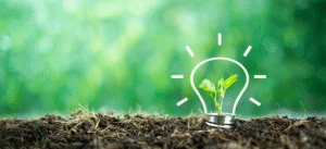 Efficienza energetica