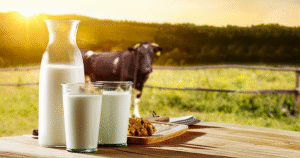 Biologico: i nostri impegni